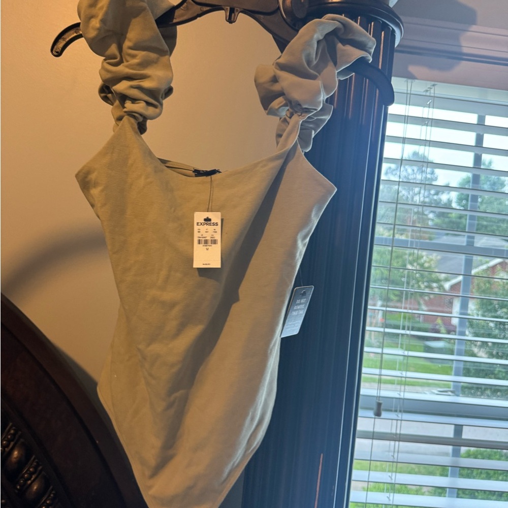 Express Gray Ruched Bodysuit